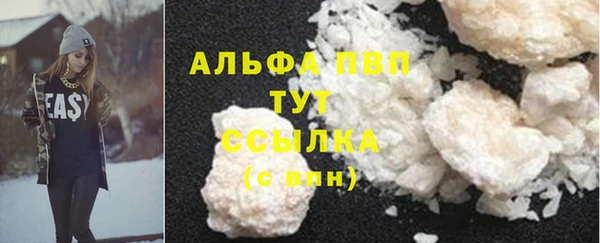 стафф Михайловск