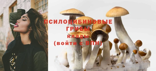 трава Михайловка