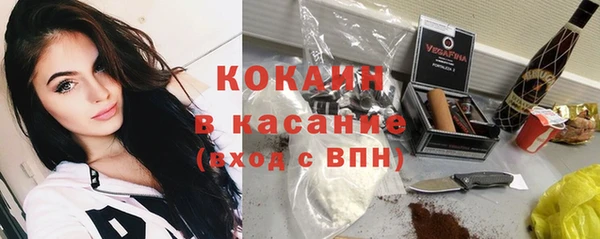 стафф Михайловск