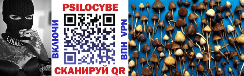 Галлюциногенные грибы GOLDEN TEACHER  купить наркоту  blacksprut маркетплейс  Юхнов 